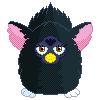 Furby whichcat